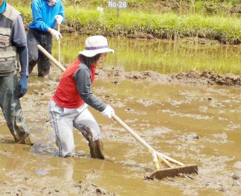 体験活動重視！！